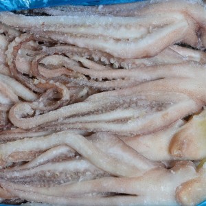 升平 海鸥鱿鱼头
